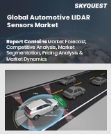 Global Automotive LIDAR Sensors Market