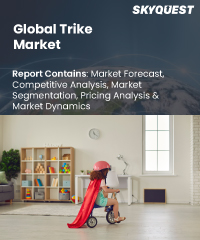 Global Trike Market