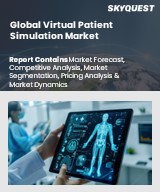 Global Virtual Patient Simulation Market