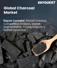 Global Charcoal Market