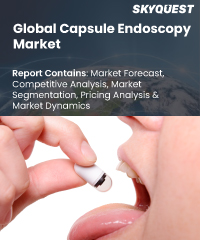 Global Capsule Endoscopy Market
