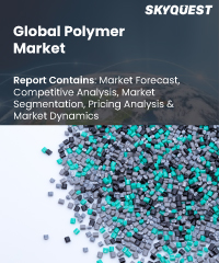 Global Polymer Market