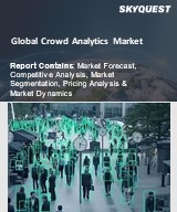 Global Crowd Analytics Market