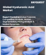 Global Hyaluronic Acid Market