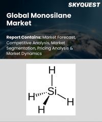 Global Monosilane Market