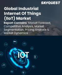 Global Industrial Internet of Things (IIoT) Market