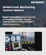 Global Load Monitoring System Market