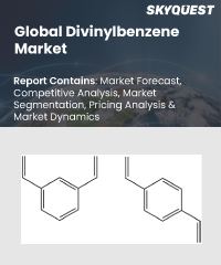 Global Divinylbenzene Market