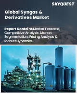 Global Syngas and Derivatives Market