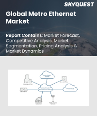 Global Metro Ethernet Market