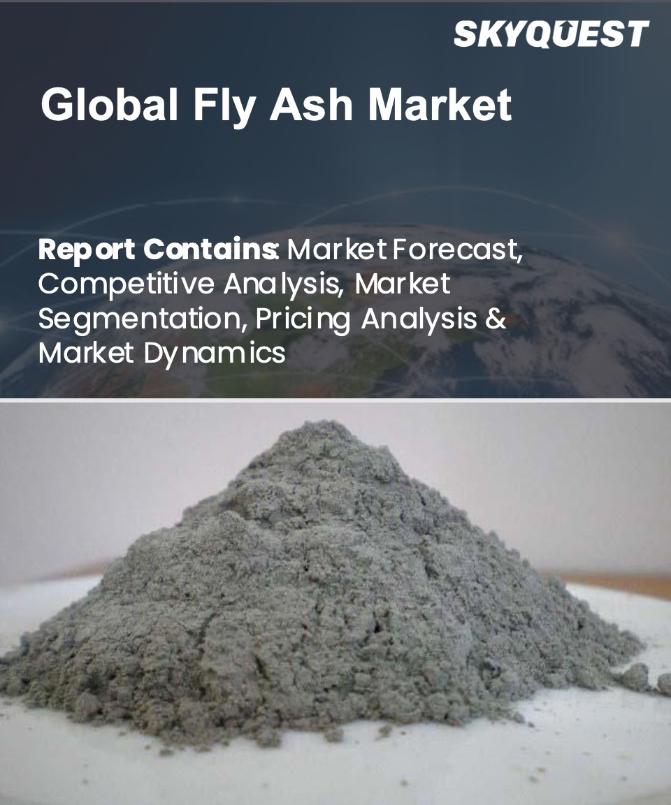 Global Fly Ash Market
