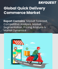 Global Quick Delivery Commerce Market