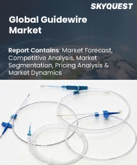 Guidewire Market