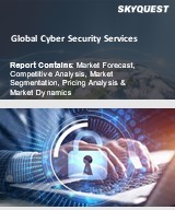Global Cyber Security Services Market