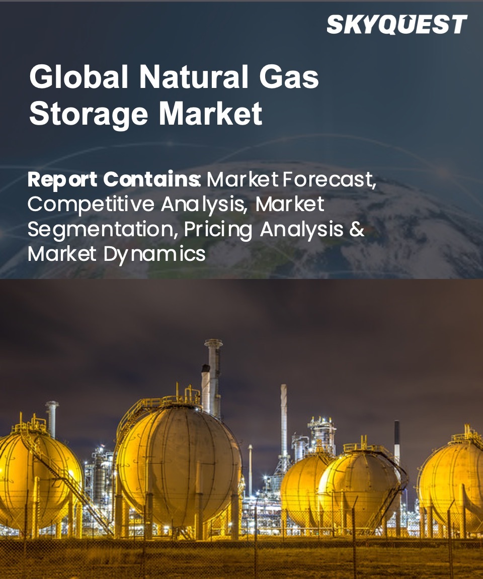 Natural Gas Storage Market