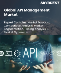 Global API Management Market