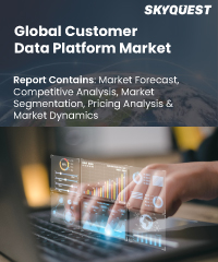 Global Customer Data Platform Market