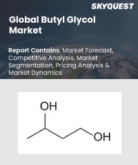 Global Butyl Glycol Market