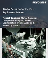 Global Semiconductor Etch Equipment Market