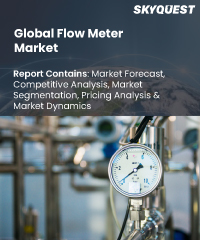 Global Flow Meter Market