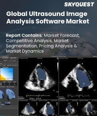 Global Ultrasound Image Analysis Software Market