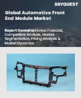 Global Automotive Front End Module Market