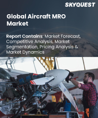 Global Aircraft MRO Market