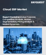 Global Cloud ERP Market