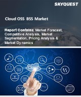 Global Cloud OSS BSS Market