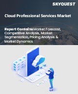 Global Cloud Professional Services Market