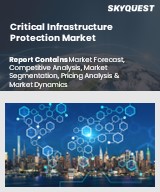 Global Critical Infrastructure Protection Market