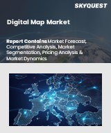 Global Digital Map Market