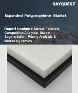Global Expanded Polypropylene Market