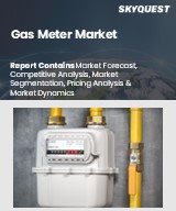 Gas Meter Market