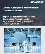 Global Aerospace Maintenance Chemical Market