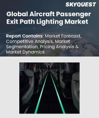Global Aircraft Passenger Exit Path Lighting Market