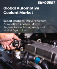 Global Automotive Coolant Market