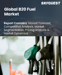 Global B20 Fuel Market