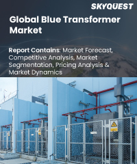 Global Blue Transformer Market
