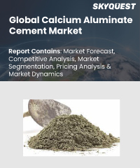 Global Calcium Aluminate Cement Market