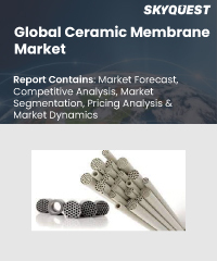 Global Ceramic Membrane Market