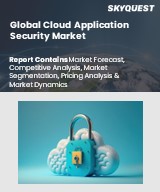 Global Cloud Application Security Market
