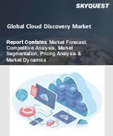 Global Cloud Discovery Market