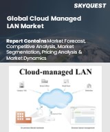 Global Cloud Managed LAN Market