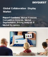 Global Collaboration Display Market