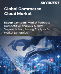 Global Commerce Cloud Market
