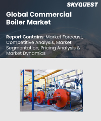 Global Commercial Boiler Market