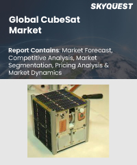 Global CubeSat Market