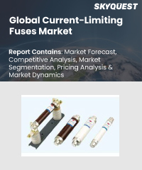 Global Current-Limiting Fuses Market
