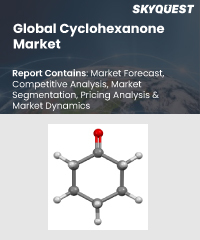 Global Cyclohexanone Market